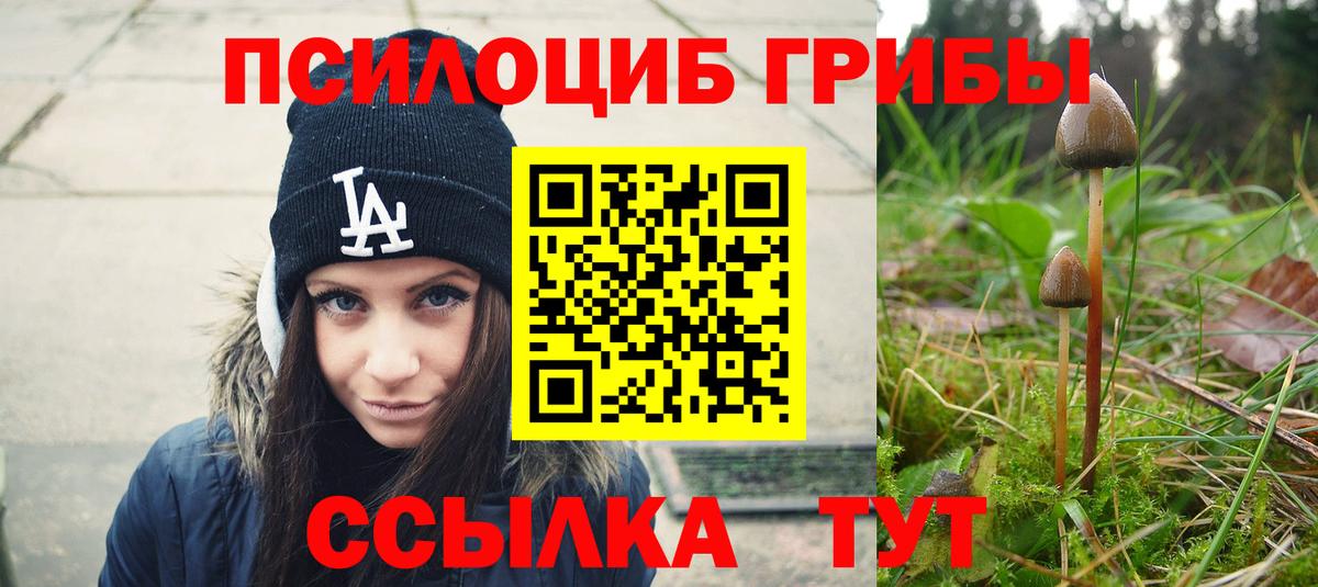 Галлюциногенные грибы Psilocybe  Галлюциногенные грибы мухоморы  Вход с VPN  Новосибирск 