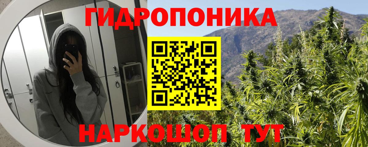 Каннабис сатива  Бошки марихуана семена  Вход с VPN  Марихуана конопля  МАРИХУАНА THC 21%  Новосибирск 